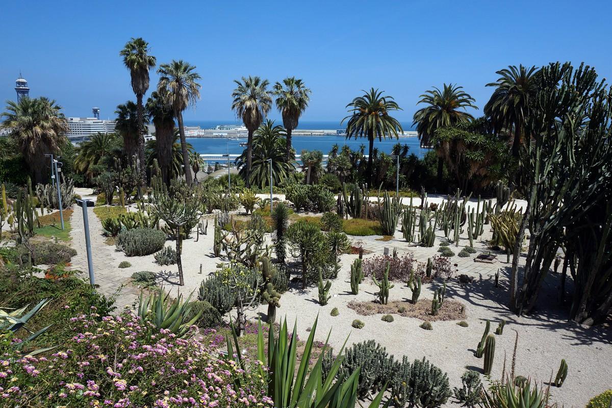 Imagen jardines de Costa i Llobera