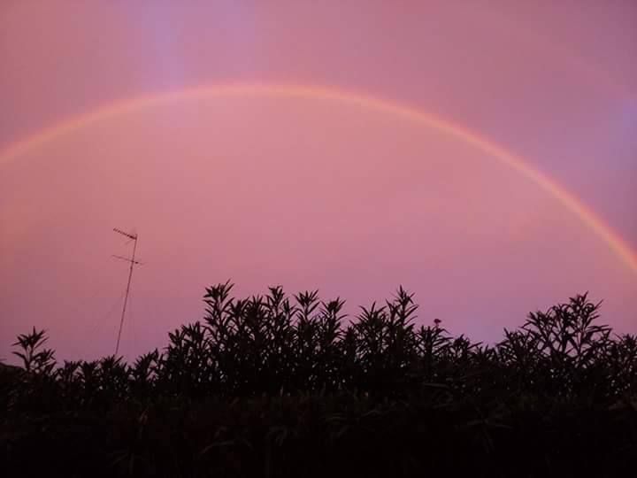 ctv-x7a-arcoiris-valencia5