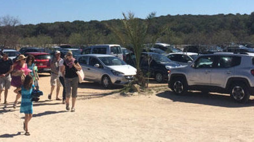 Tres minibuses con 84 plazas conectarán Sa Ràpita y Ses Covetes