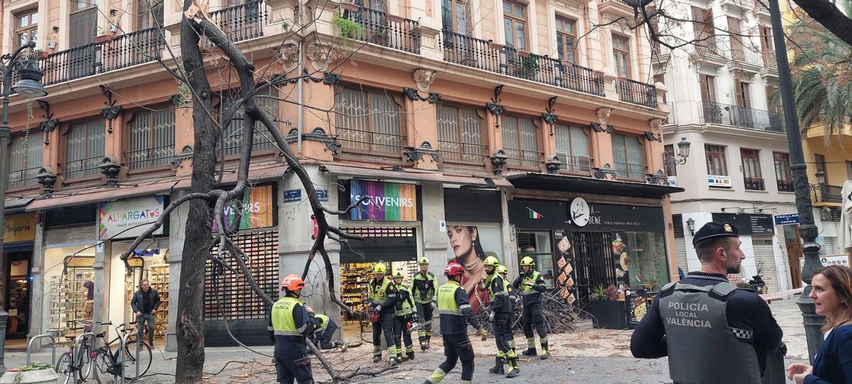 Árbol caído en la calle San Vicente.