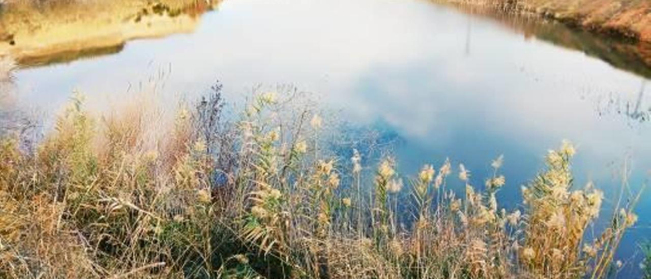 Medio Ambiente estima que el  lago de Picassent  tendrá escaso valor