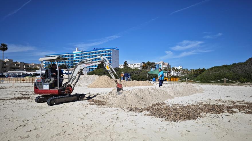 Abren las fosas de la playa de sa Coma en busca de los milicianos del desembarco de Bayo