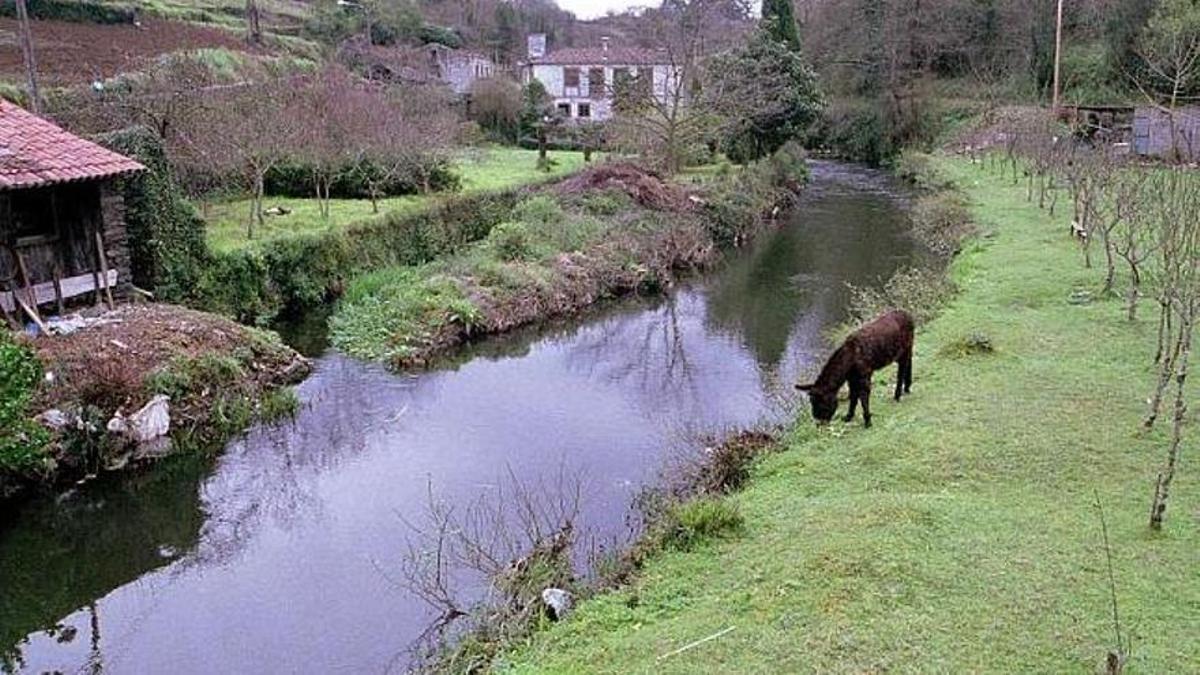 Río Mendo en Betanzos.