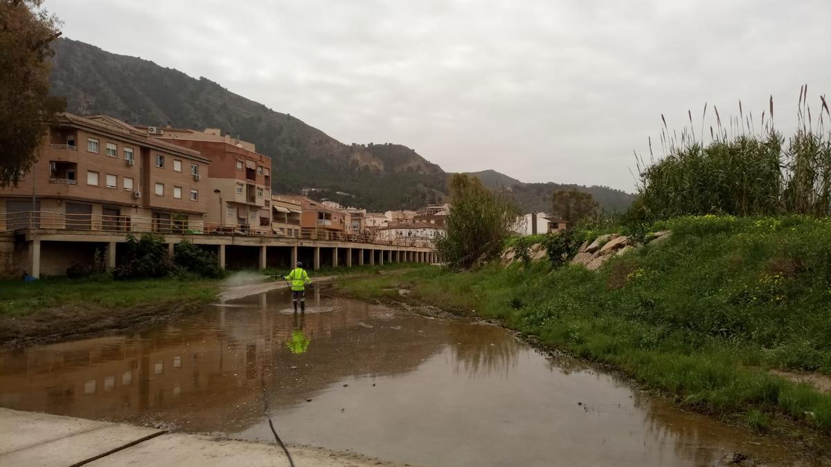 Trabajos de control de plagas