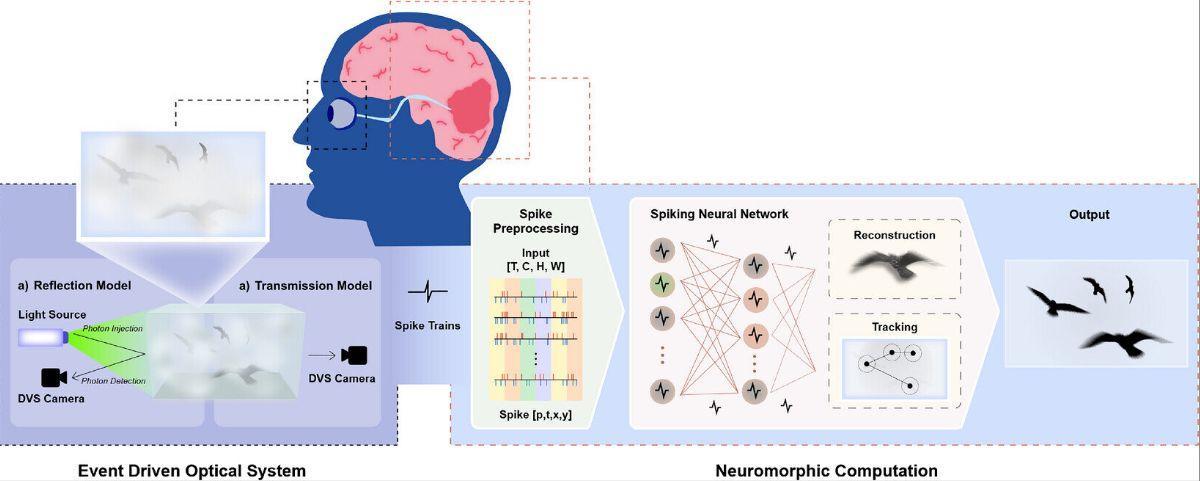 Vista conceptual de un enfoque neuromórfico de extremo a extremo para rastrear y reconstruir imágenes de objetivos dinámicos oscurecidos por medios turbios.