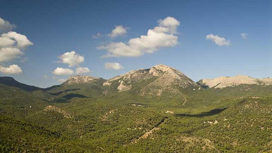 Parque Regional Sierra Espuña: disfruta del pulmón verde de la Región de Murcia