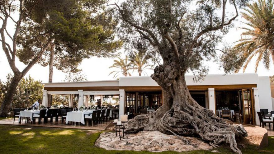 Can Curreu está situado en Sant Carles. | | HOTEL RURAL CAN CURREU