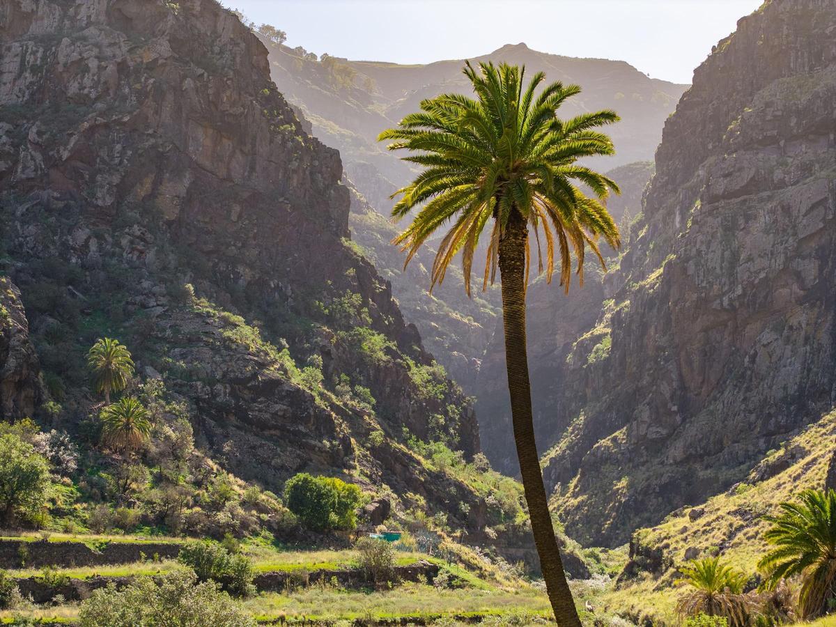 Valle de Agaete, Gran Canaria.