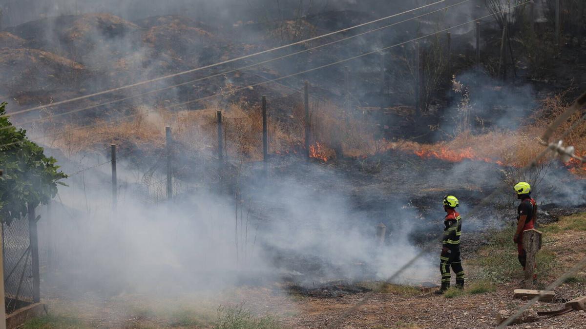 Actuación de los bomberos en el incendio de pastos de la carretera del Aeropuerto, ayer.