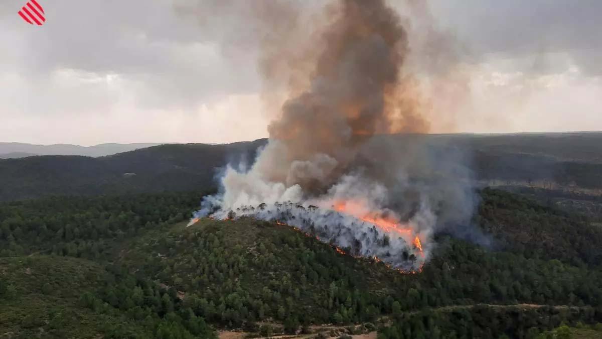 Verano complicado este de 2025, pues la abundante lluvia ha favorecido el crecimiento de la vegetación y, por tanto, aumenta el riesgo de incendios. En la imagen, incendio declarado en Bicorp en agosto de 2021.