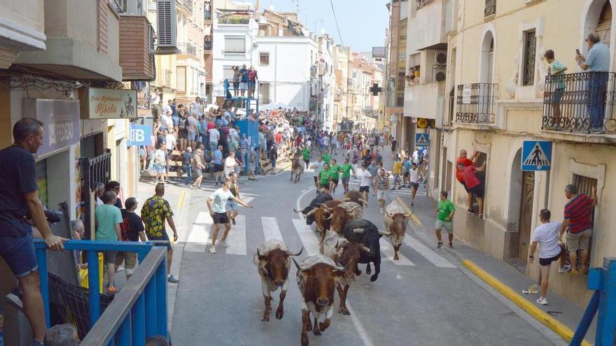 L&#039;Alcora salva el encierro de toros cerriles gracias al apoyo de las peñas