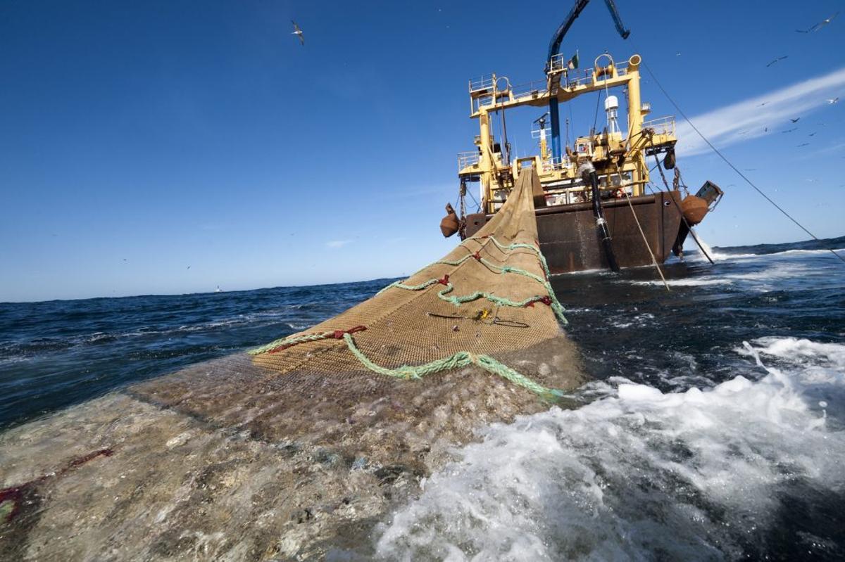 Los arrastreros de todo el planeta causan un gran daño ambiental