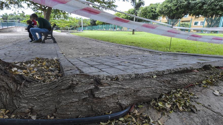 Arreglos y desperfectos en las canchas deportivas del Parque Juan Pablo II