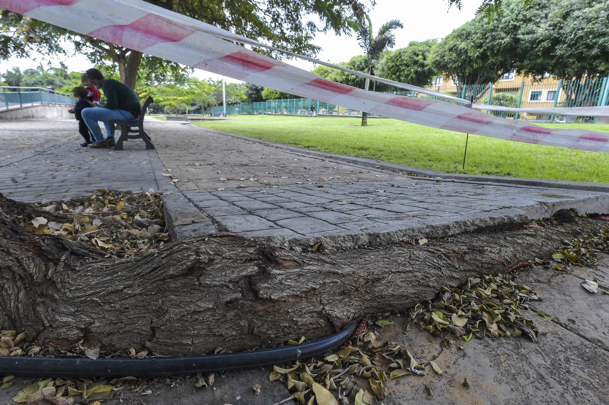 Arreglos y desperfectos en las canchas deportivas del parque Juan Pablo II