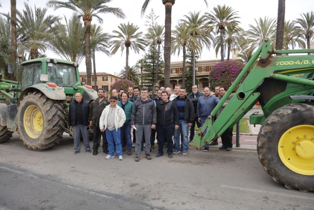 Tractorada sorpresa de los agricultores de Mallorca contra el Govern Armengol