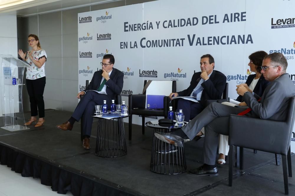 La consellera Elena Cebrián durante su intervención