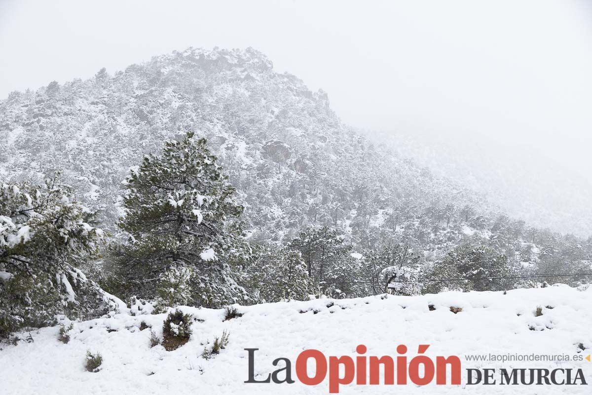 Continúa la nevada en las zonas altas de la comarca del Noroeste