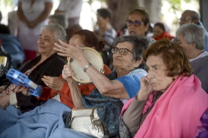 DIA DEL PINO EN EL CENTRO SOCIOSANITARIO DE EL ...