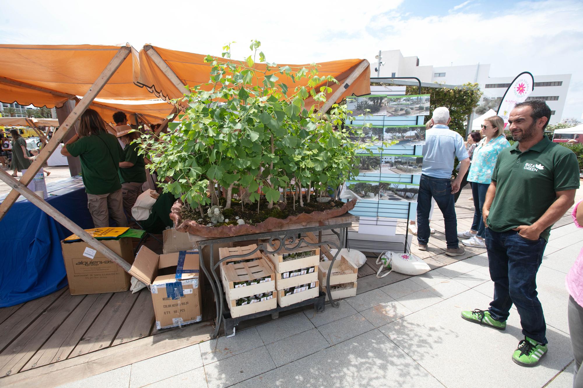 Mira aquí todas las fotos de la feria ECO UC de Santa Eulària