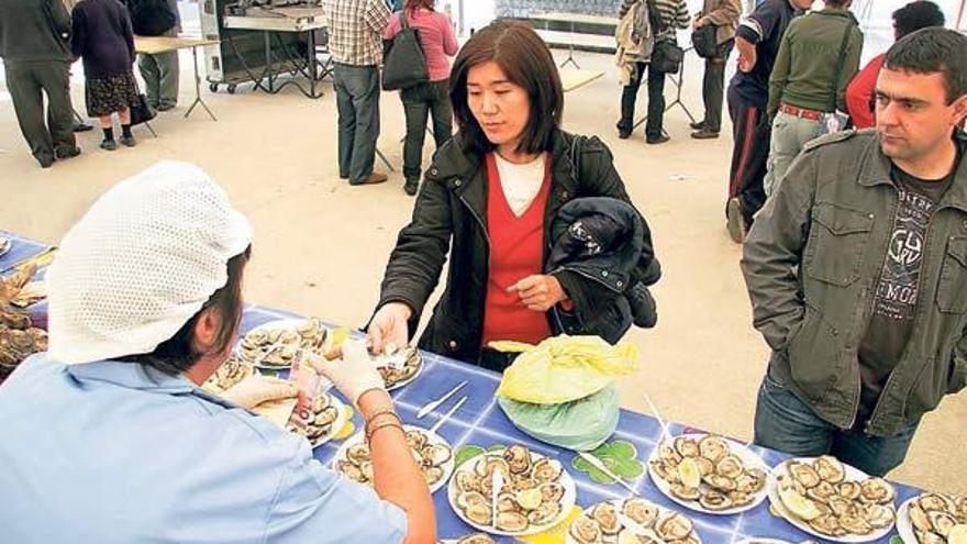 Visitantes degustan ostras en Arcade.