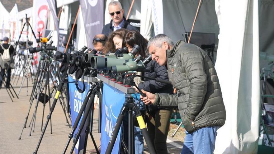 Observación de aves, rutas y yincana, en Plasencia y Malpartida