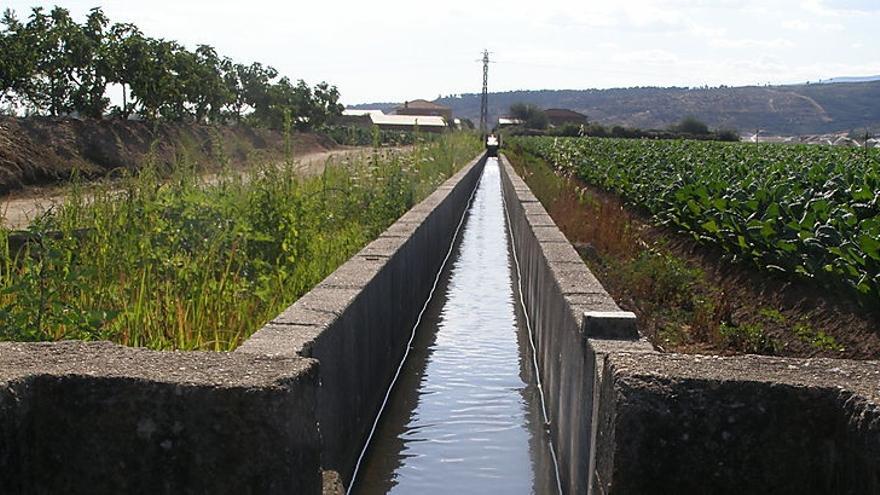 Una canal con agua en una zona de regadío durante la campaña de riego anterior.