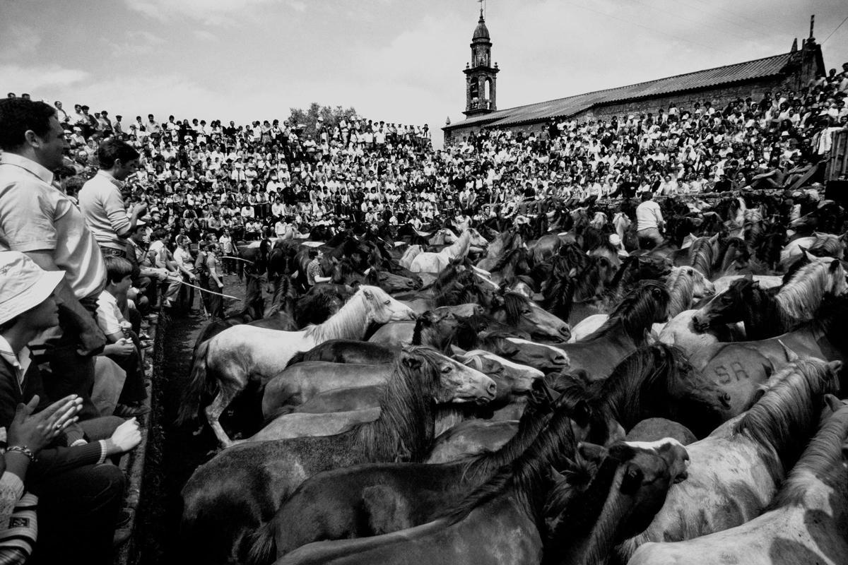 Imagen de la rapa de Sabucedo de los años 70.