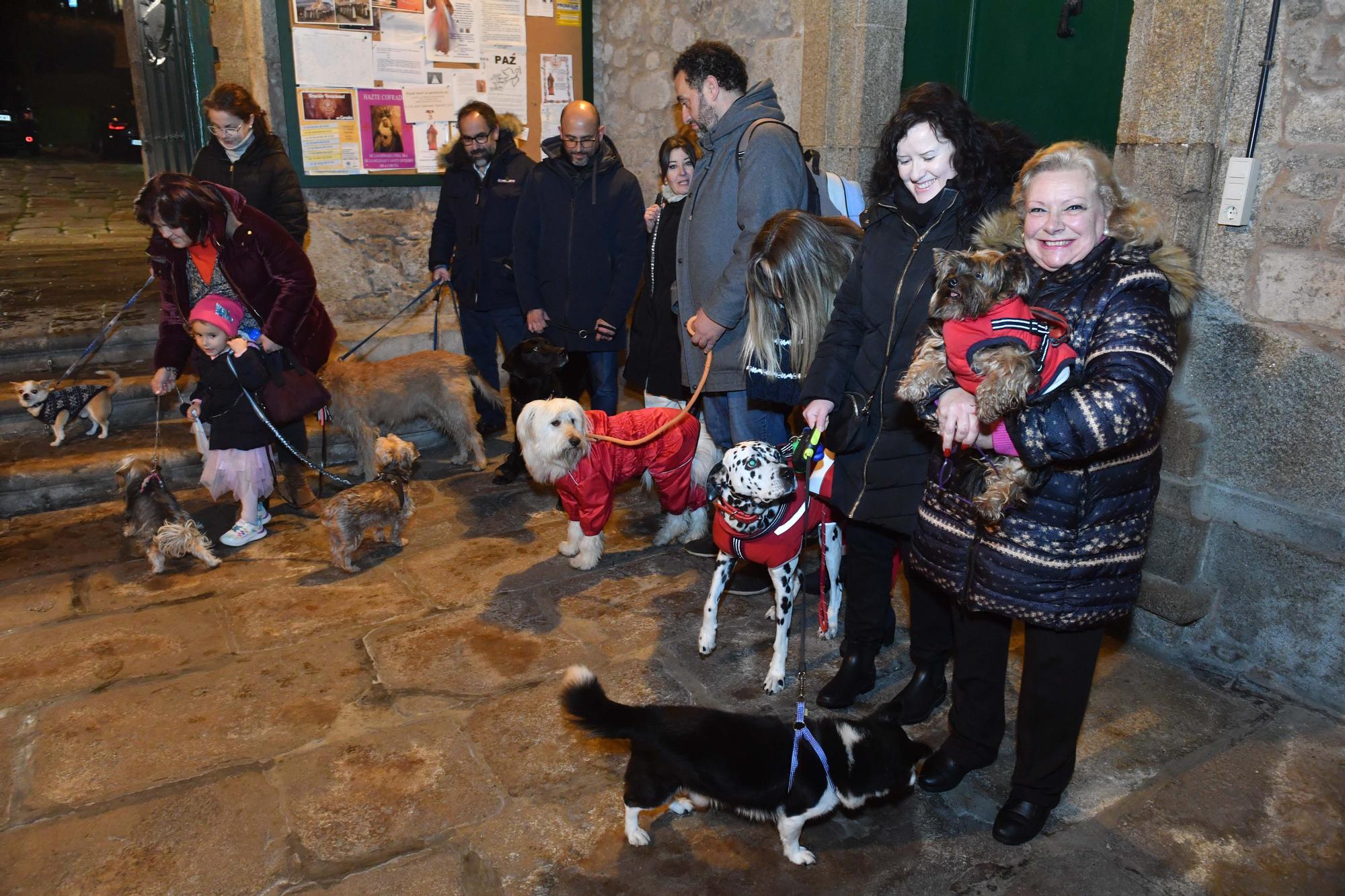 Bendición de mascotas por San Antón en A Coruña