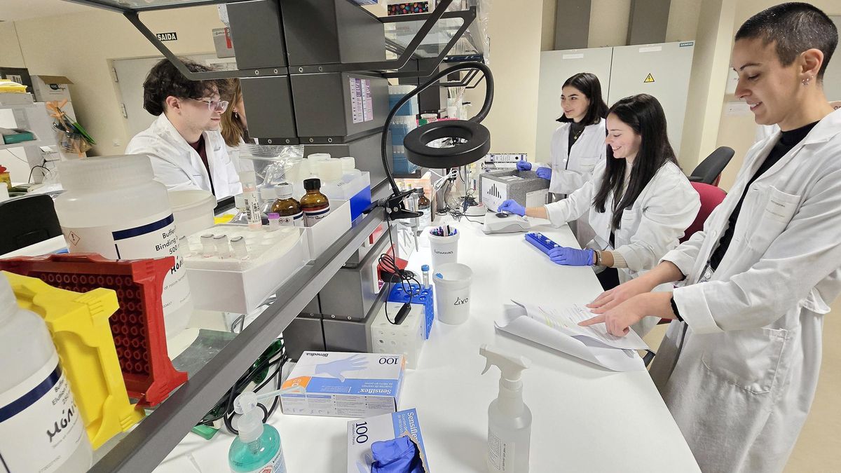 Laboratorio del grupo de Oncología Molecular Traslacional del instituto Galicia Sur.