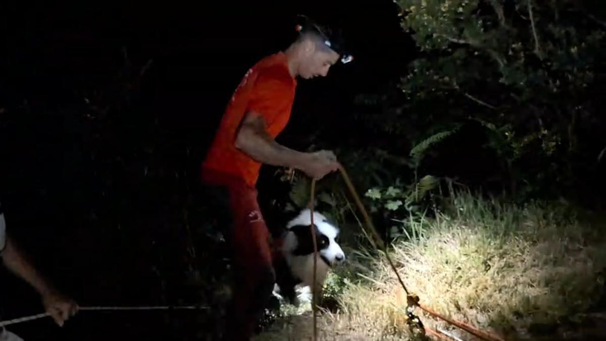 Así fue el complicado rescate de Covi, el border collie que cayó en un acantilado en Ribadesella y que fue localizado gracias a la unidad de drones de Bomberos de Asturias