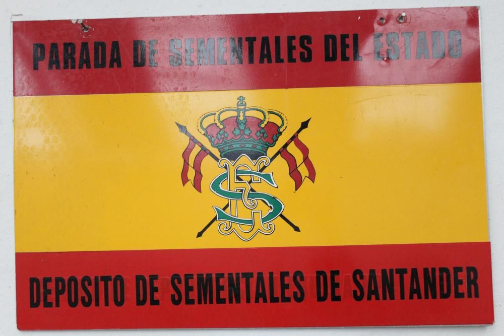 Embestidas militares de 600 millones de espermatozoides para las yeguas asturianas
