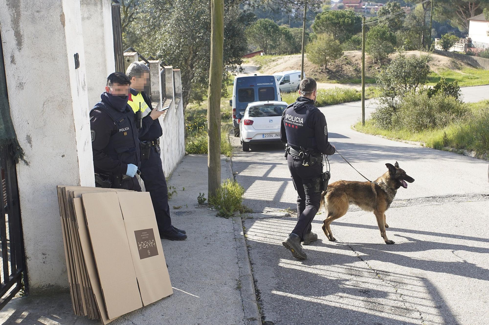 Operació antidroga a Maçanet de la Selva