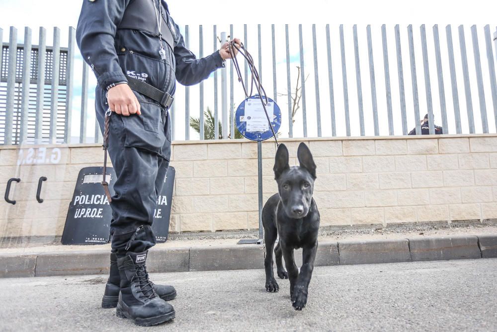 Exhibición policial en Granja de Rocamora