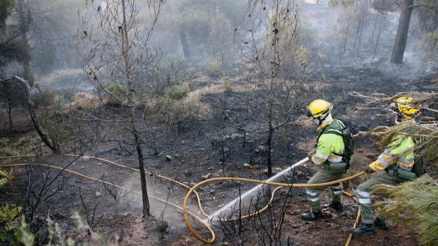 El viento aviva dos incendios forestales en Jérica y Moncofa