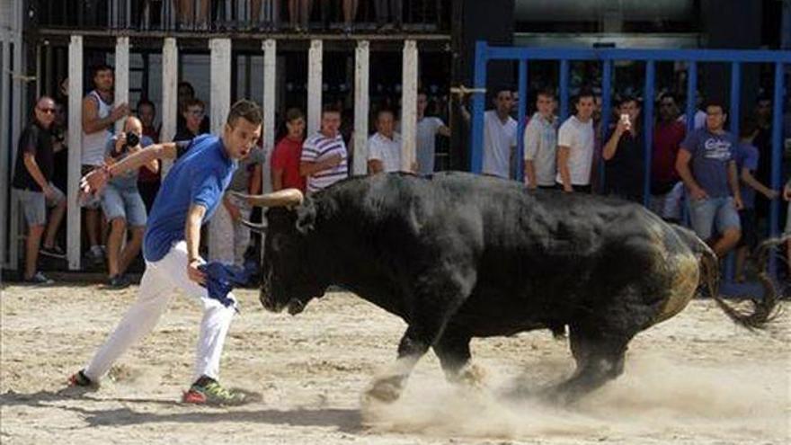 IX Fira del Bou per la  Vila en Magdalena