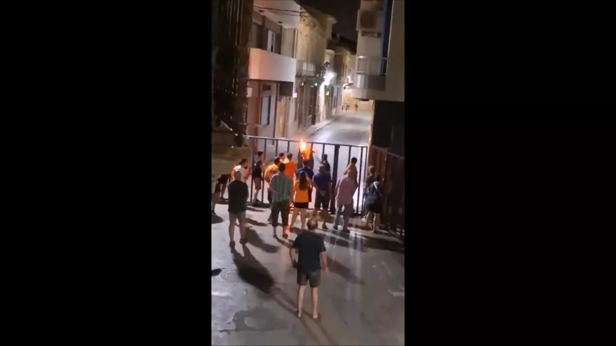 Tremendo susto en Alcàsser al escaparse el bou embolat