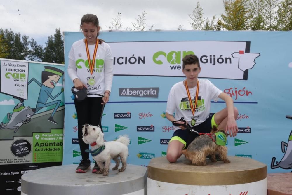 "Can We Run": Deporte, perros y solidaridad toman Gijón