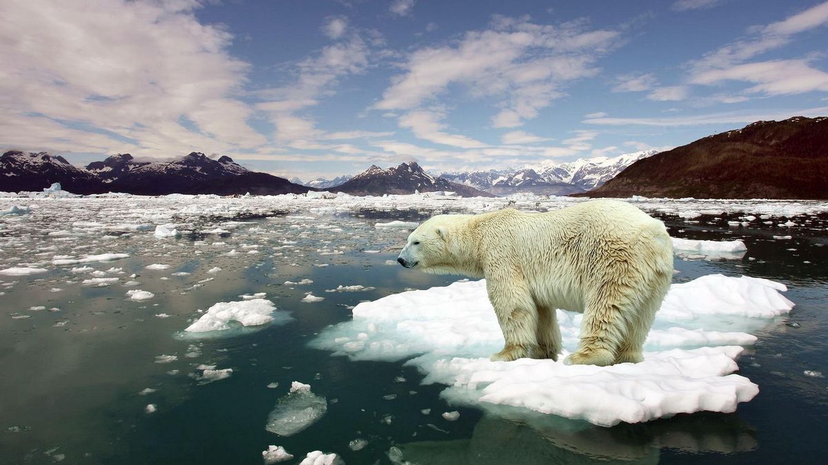 Las predicciones de Baba Vanga para el futuro hablan del deshielo de los polos y una drástica subida del nivel del agua del mar.