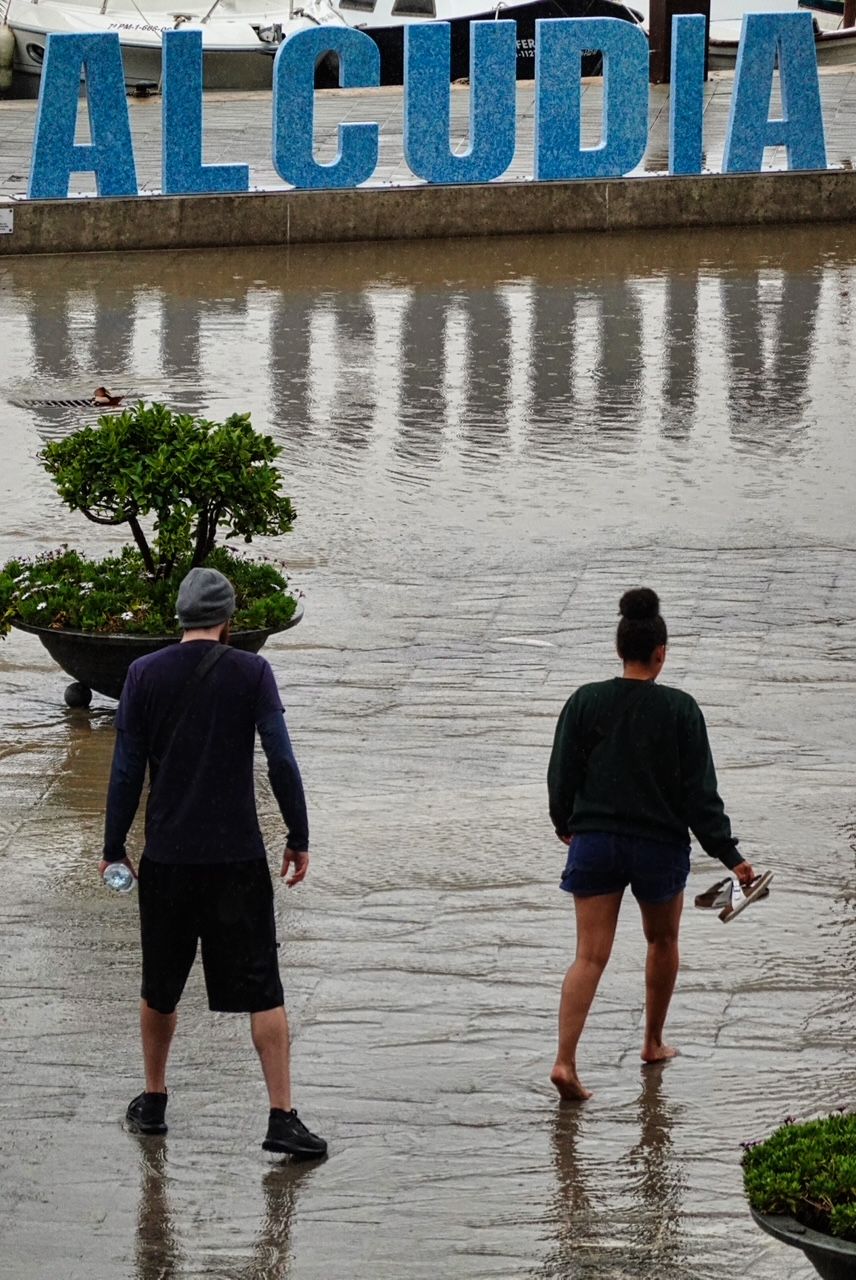 Una tormenta derriba una palmera y causa inundaciones en calles en Alcúdia