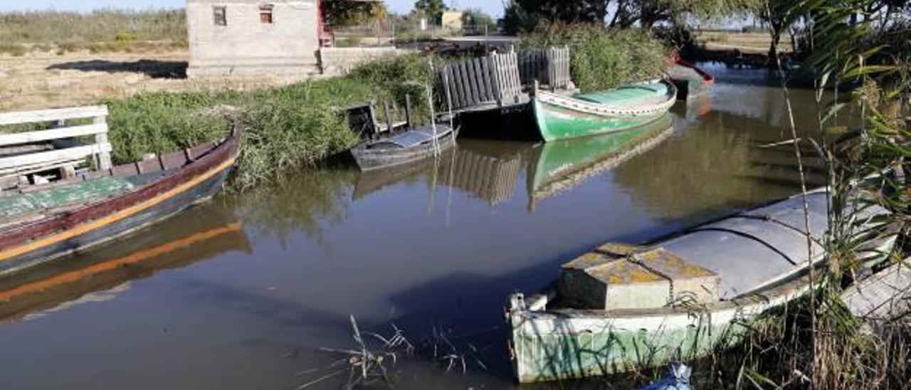 Sollana quiere ampliar   el Portet para mejorar             el embarque a l&#039;Albufera