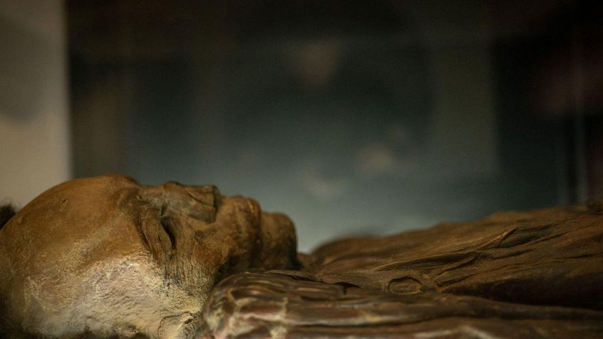 Bringing the Finest Preserved Guanches Mummy Closer to Tenerife