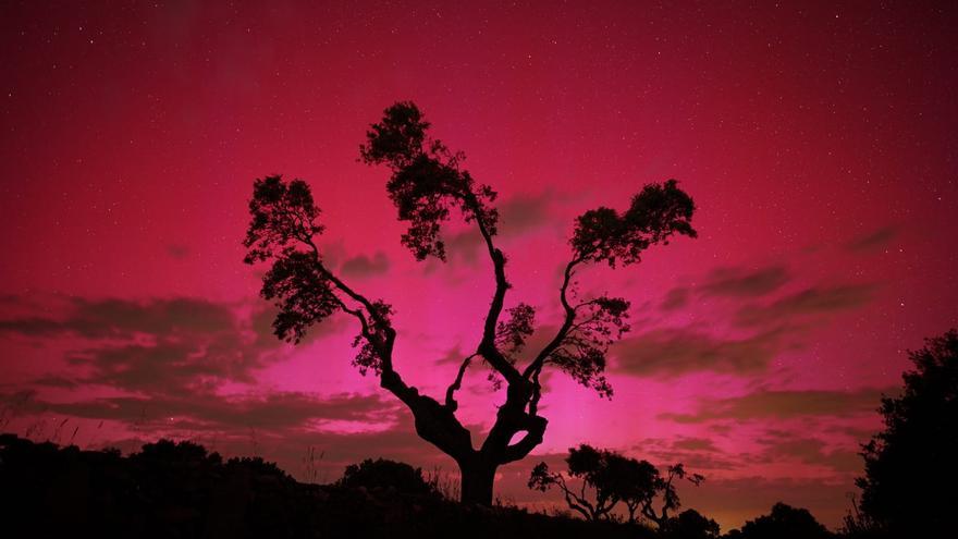 Una aurora boreal de ensueño vuelve rosa el cielo de Sayago