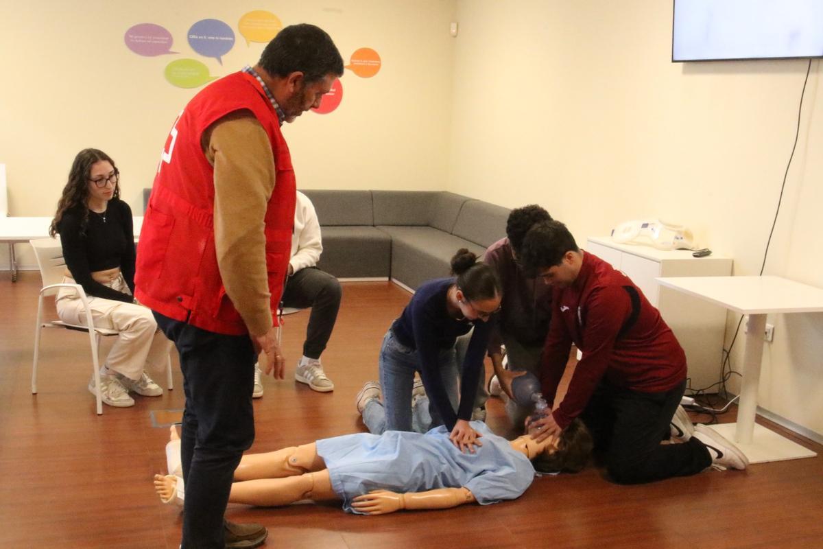 Formación Profesional en CFP Cruz Roja Córdoba.