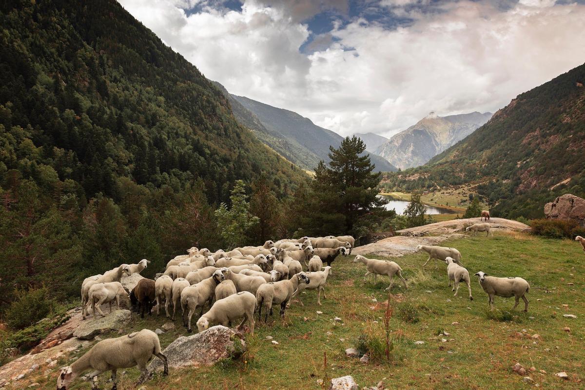 Valle del Boí