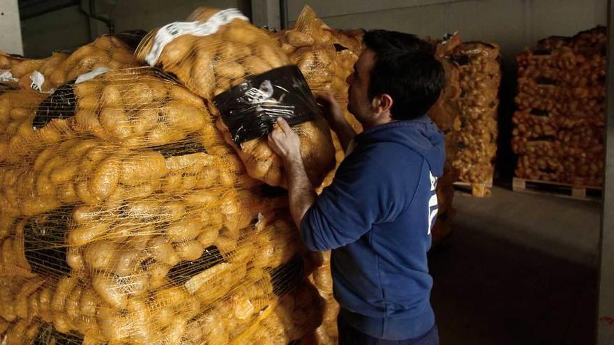 Sacos de patatas, en un almacén del occidente asturiano.