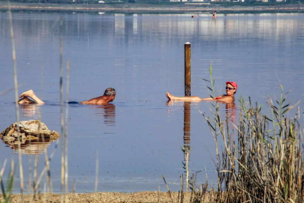 Guardia Civil y Policía cierran el paso a los bañistas en la laguna de Torrevieja. El personal del parque natural y agentes ambientales de la Generalitat informan sobre la prohibición de baño