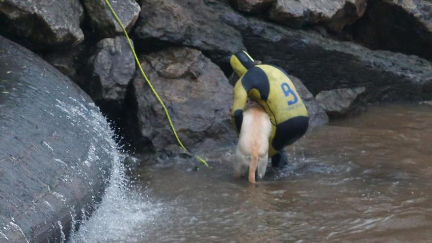 Un joven se lanza al río Magdalena para rescatar, sin éxito, a un perro