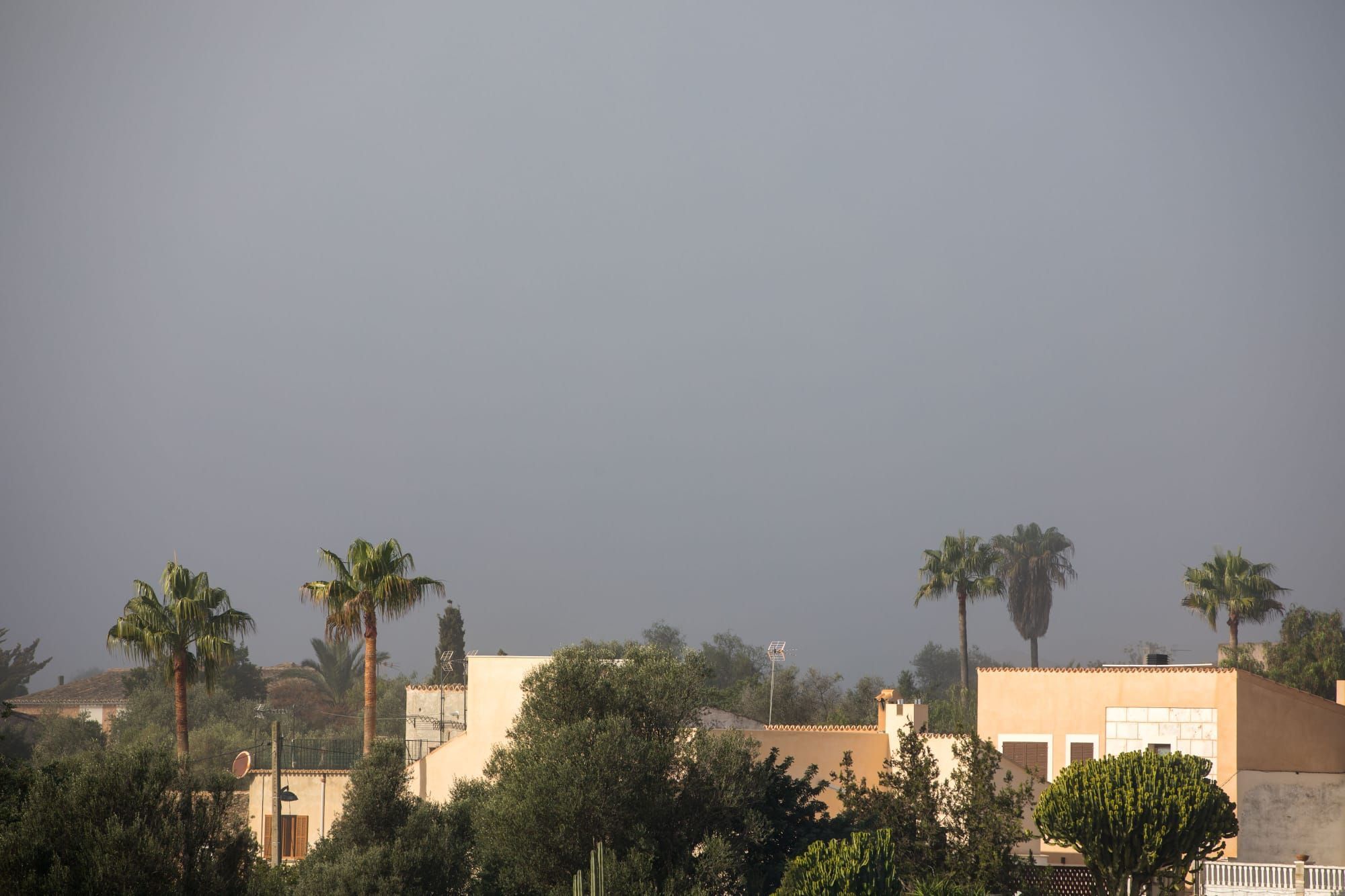 Nebel auf Mallorca: So sah es in Palma und Pòrtol am Mittwochmorgen aus