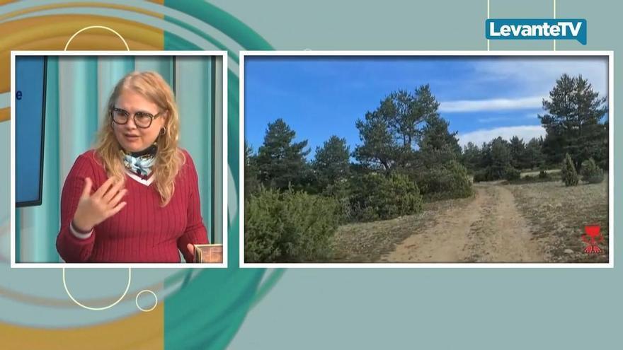 El Santo Grial, en su año más importante