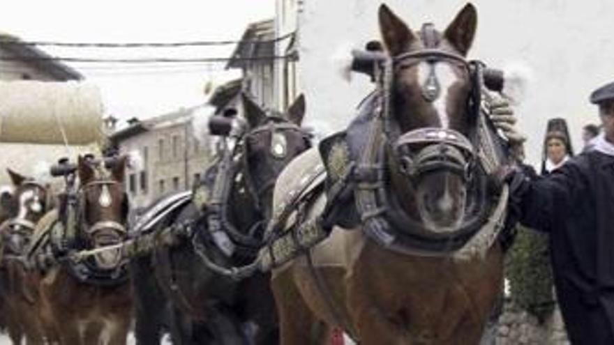Perafita celebra la Festa del Cavall del Lluçanès